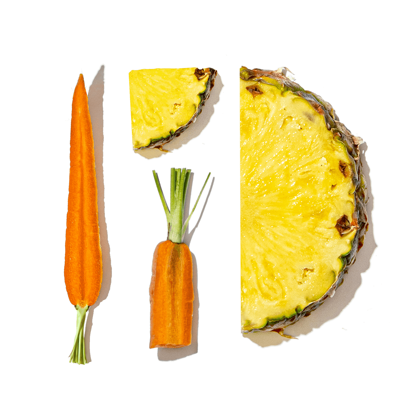 Multivitamin + Gut Health Shot